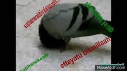 Previous Post Image